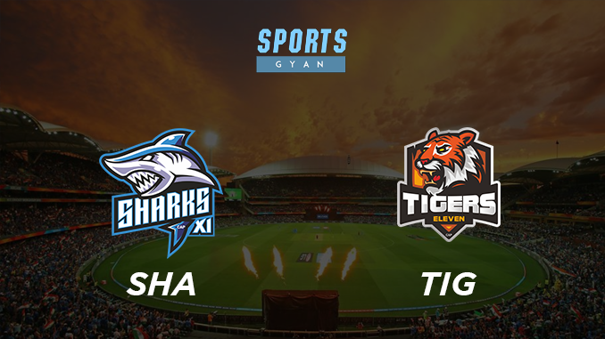 SHA VS TIG DREAM TEAM CRICKET MATCH AND PREVIEW