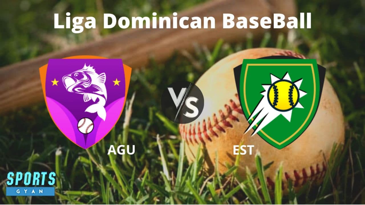 EST vs AGU Dream11 Baseball Team