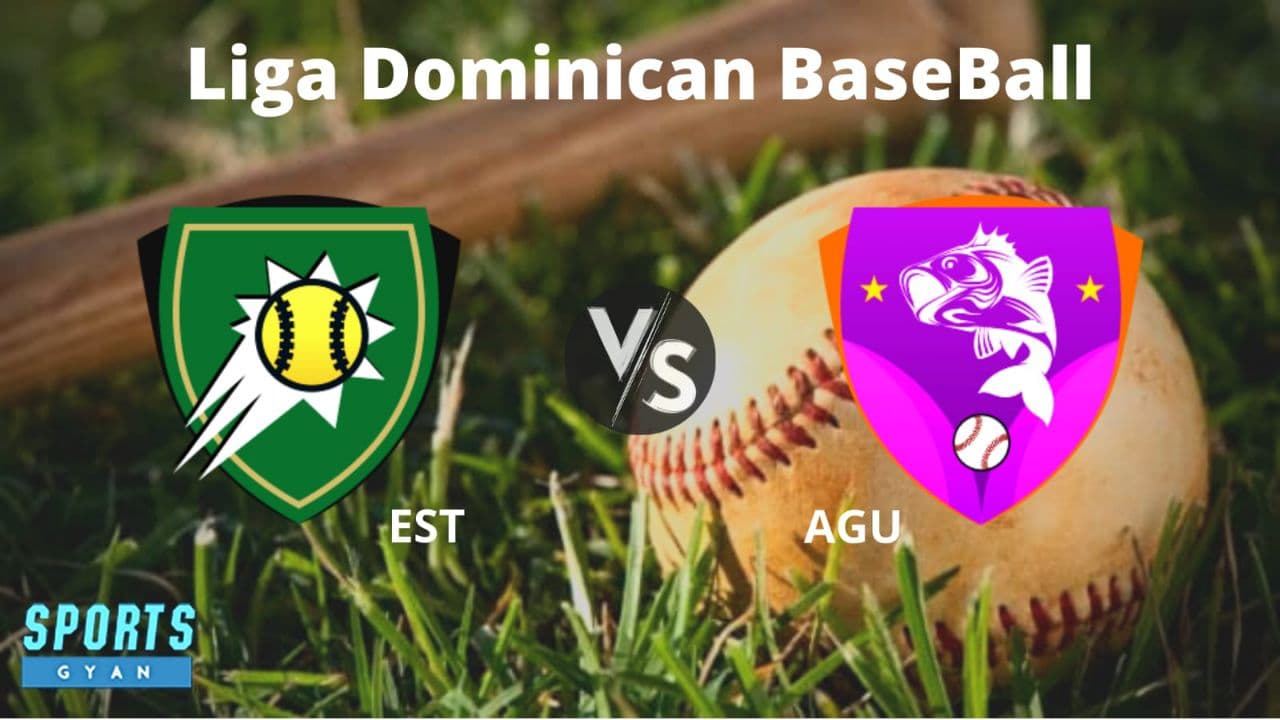 EST vs AGU Dream11 Baseball Team